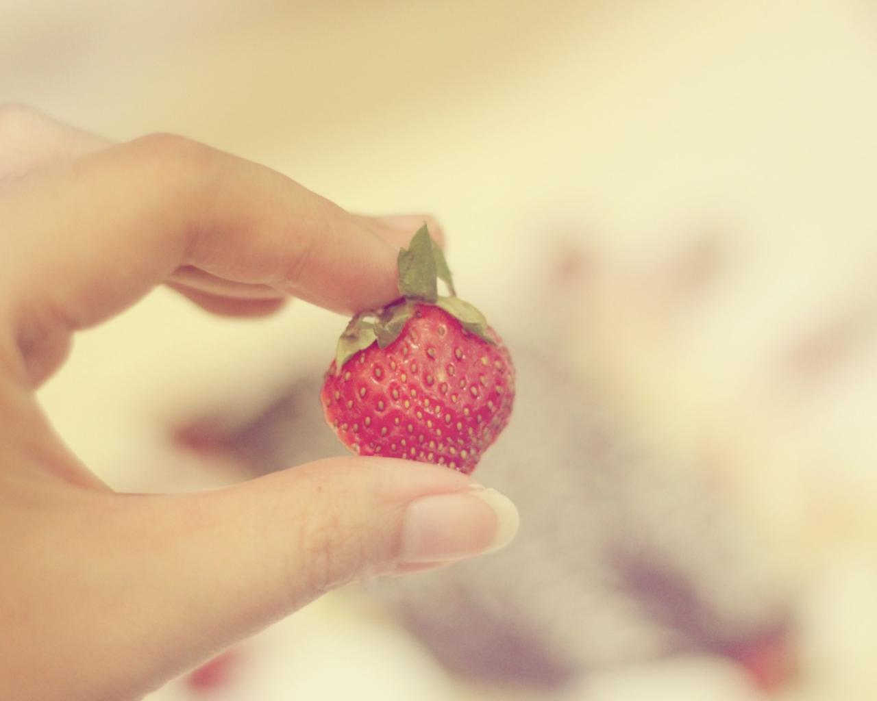 Das Strawberry In Her Hand Wallpaper 1280x1024