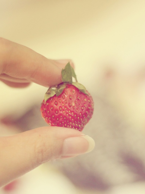 Das Strawberry In Her Hand Wallpaper 480x640