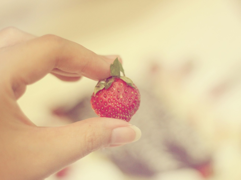 Обои Strawberry In Her Hand 800x600