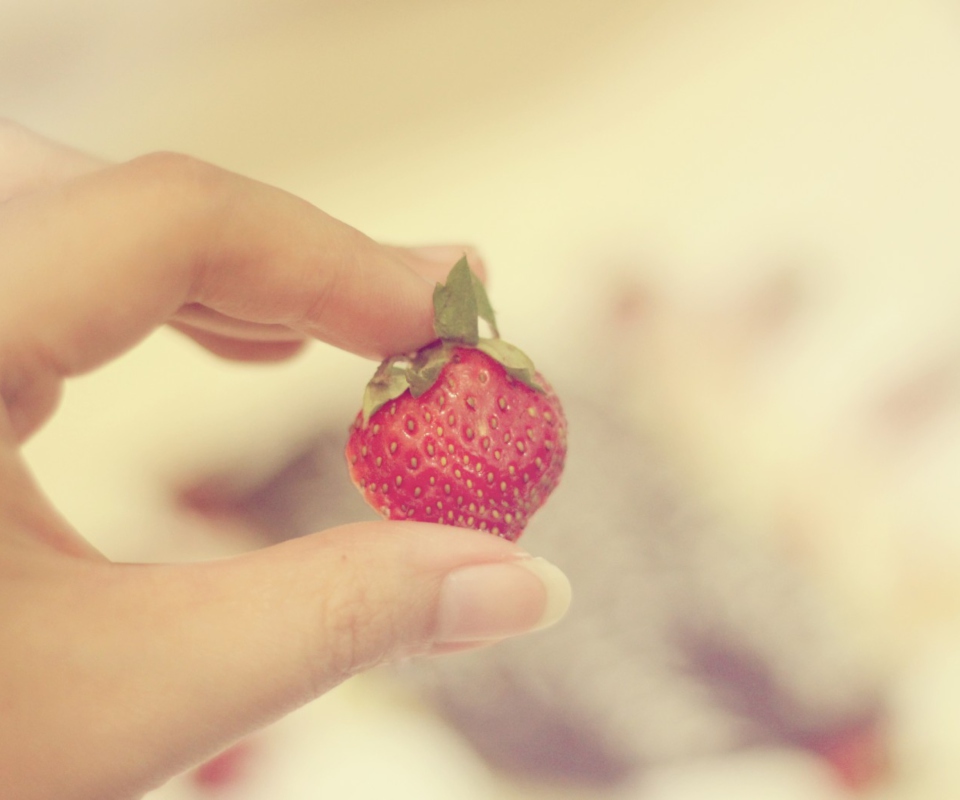 Strawberry In Her Hand wallpaper 960x800
