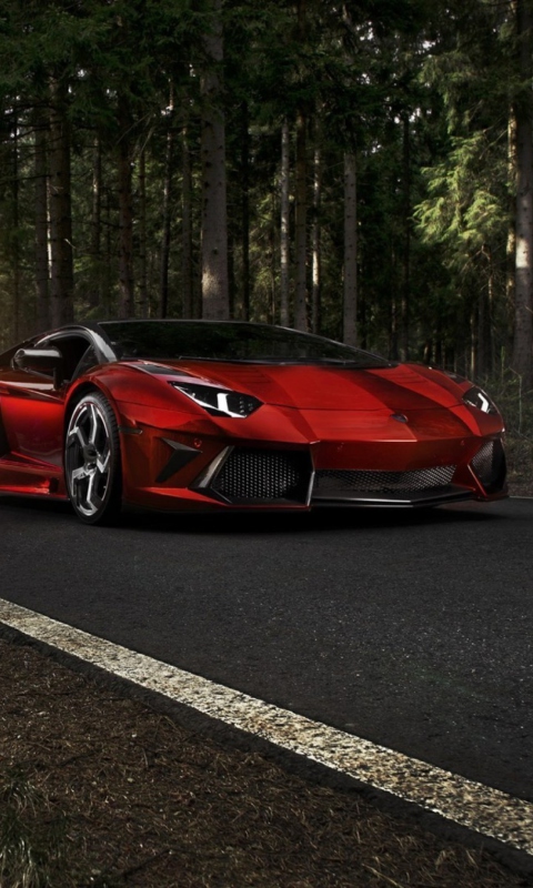 Обои Red Lamborghini 480x800
