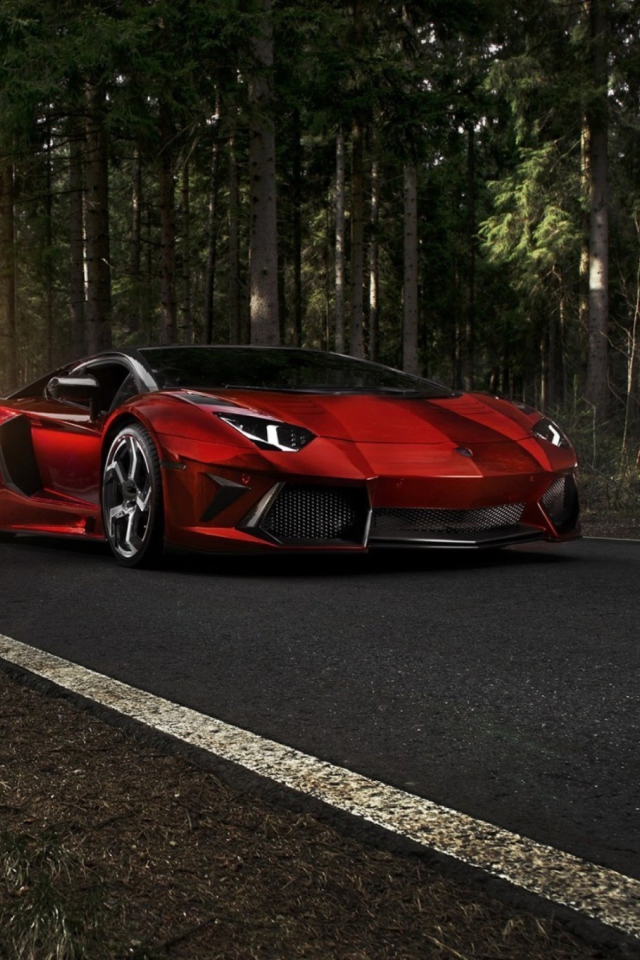 Обои Red Lamborghini 640x960