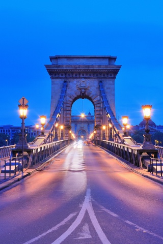 Fondo de pantalla Budapest - Chain Bridge 320x480