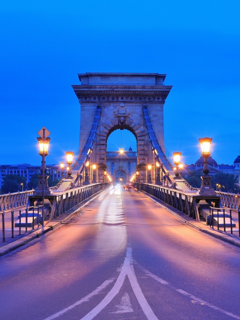 Budapest - Chain Bridge screenshot #1 480x640