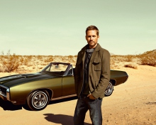 Paul Walker wallpaper 220x176