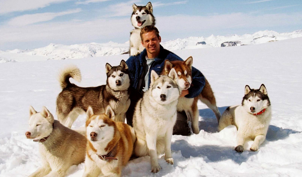 Eight Below Paul Walker wallpaper 1024x600