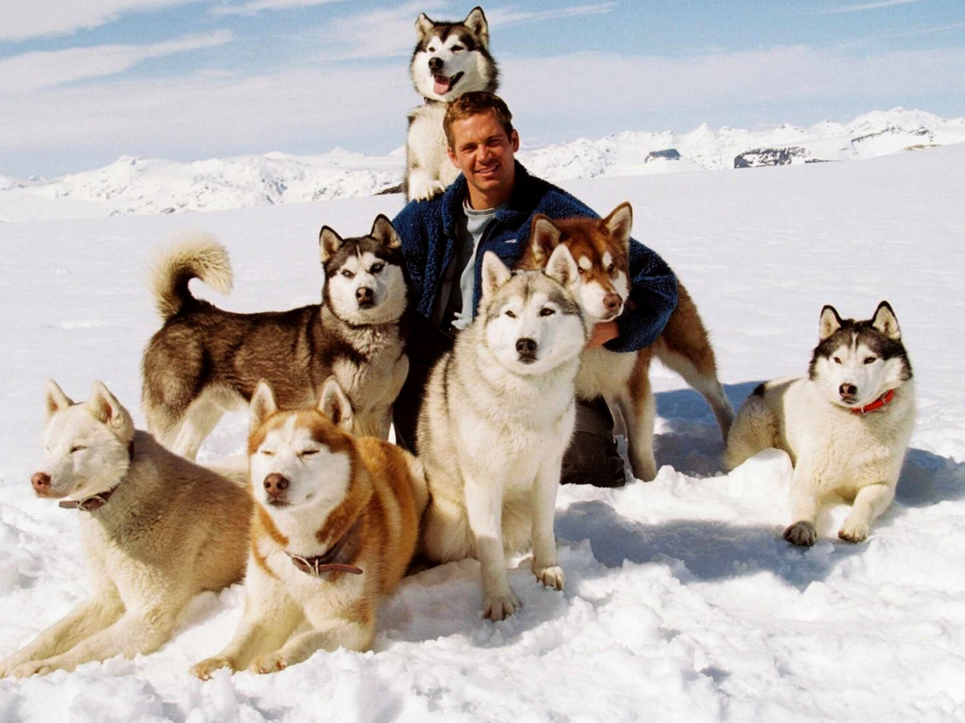 Screenshot №1 pro téma Eight Below Paul Walker 1400x1050