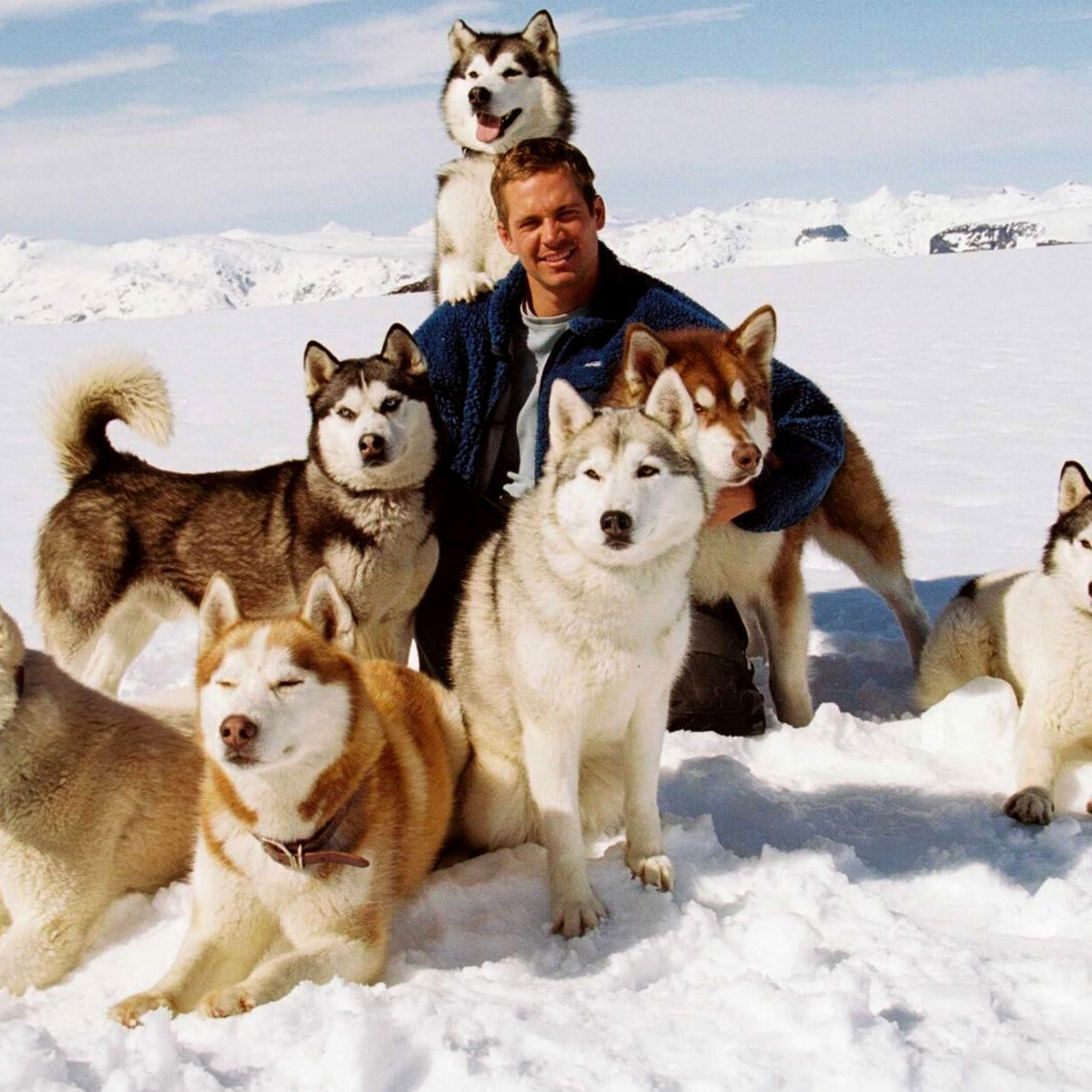 Eight Below Paul Walker wallpaper 2048x2048