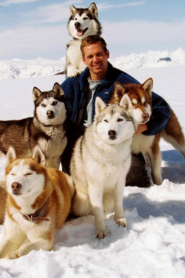 Eight Below Paul Walker screenshot #1 640x960