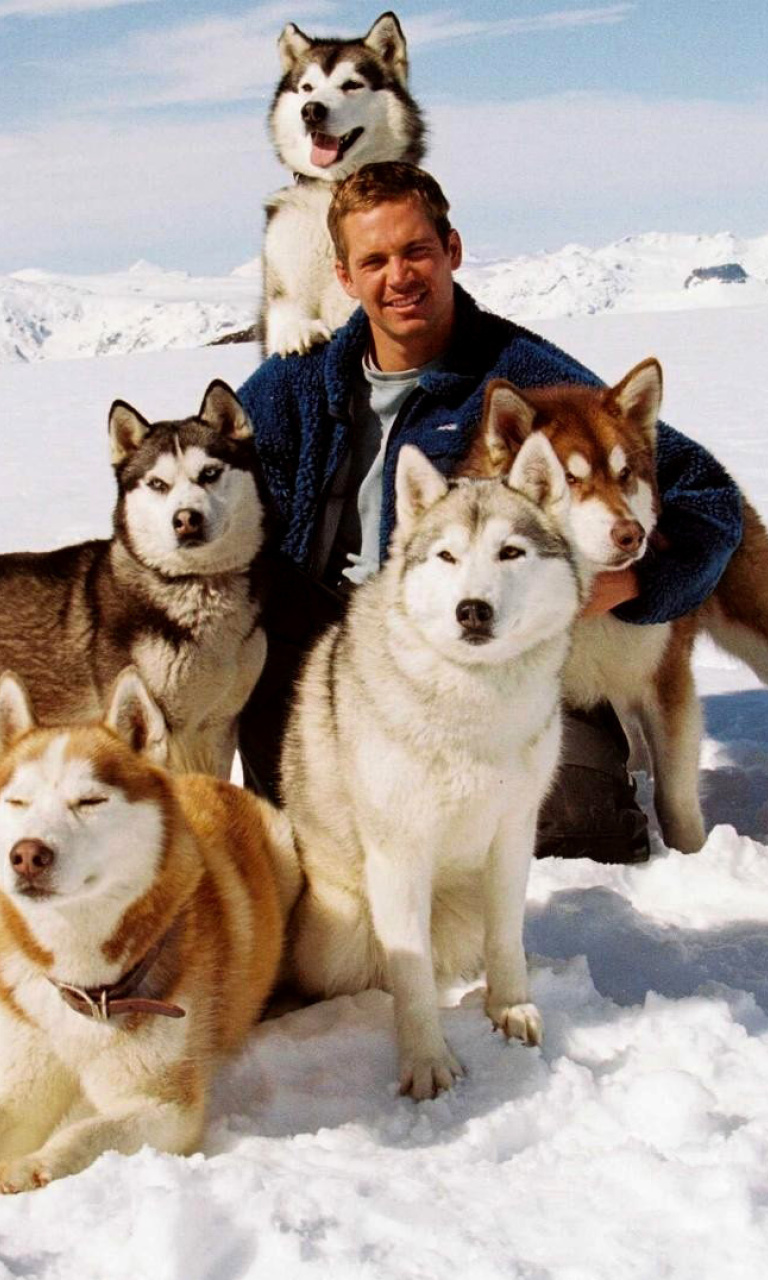 Sfondi Eight Below Paul Walker 768x1280