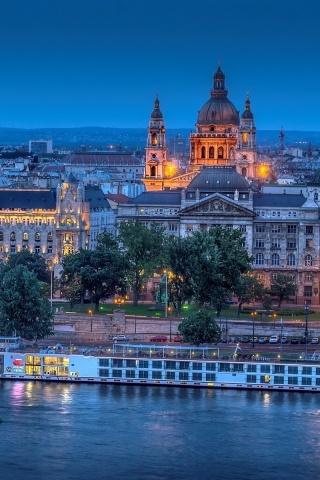Budapest St Stephens Basilica and Danube Chain Bridge screenshot #1 320x480