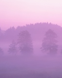Pink Mist screenshot #1 128x160