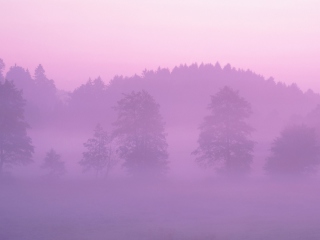 Pink Mist screenshot #1 320x240