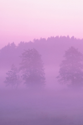 Pink Mist screenshot #1 320x480