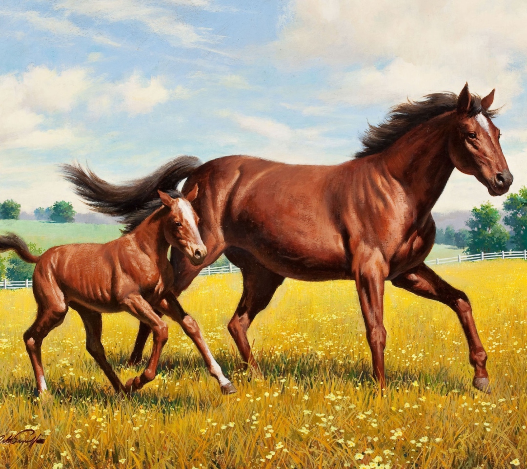 Fondo de pantalla Horses 1080x960