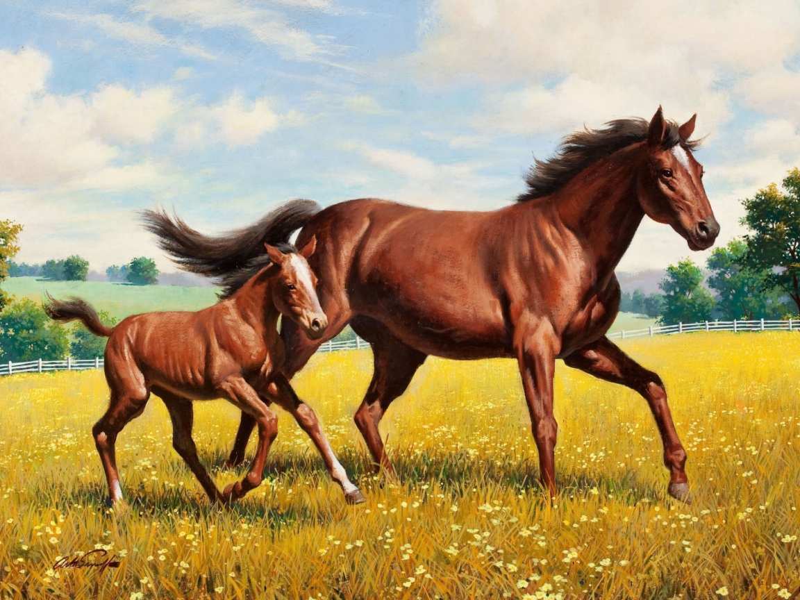 Das Horses Wallpaper 1152x864