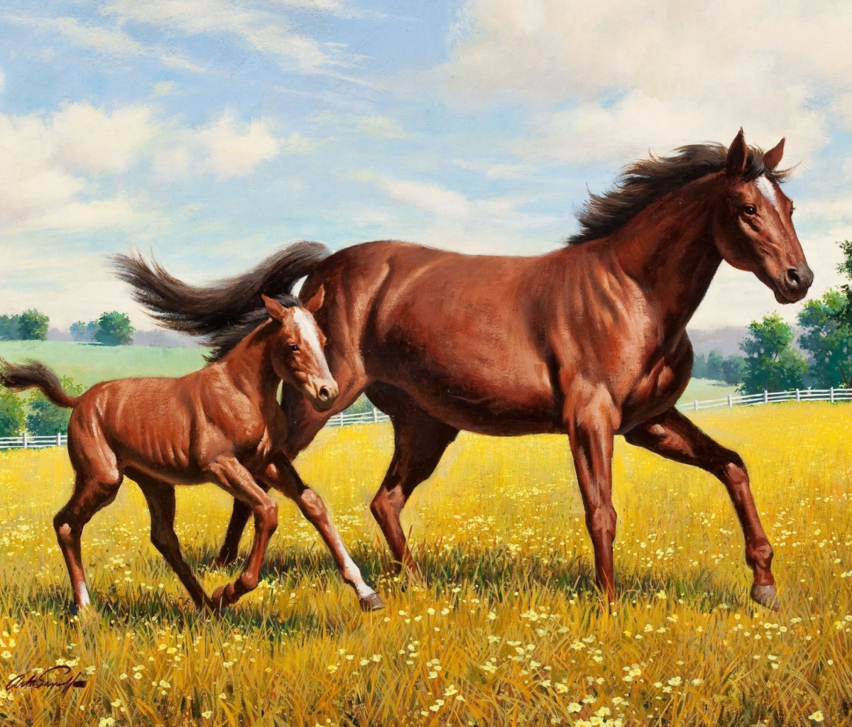 Horses wallpaper 1200x1024