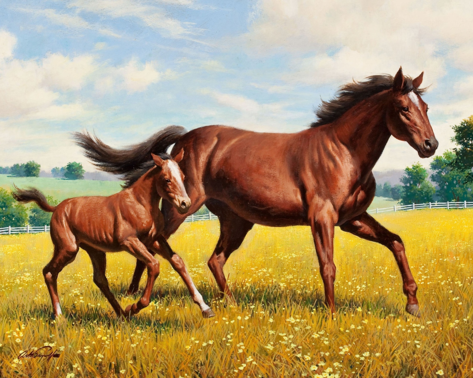 Обои Horses 1600x1280