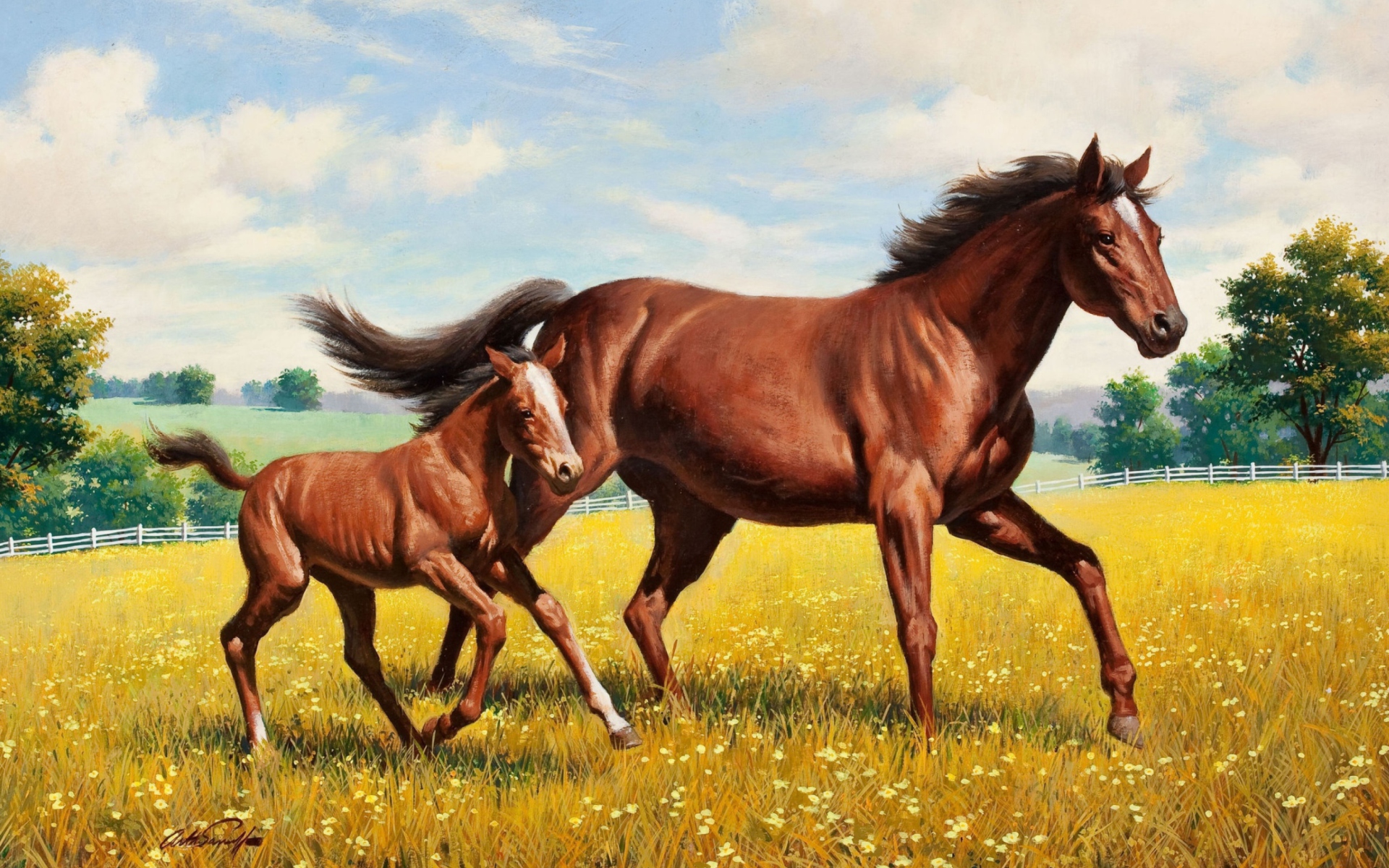 Horses wallpaper 1920x1200