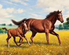 Das Horses Wallpaper 220x176