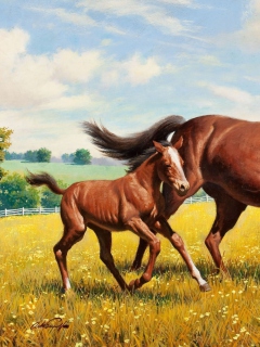 Das Horses Wallpaper 240x320