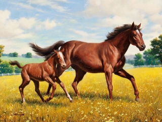 Fondo de pantalla Horses 320x240