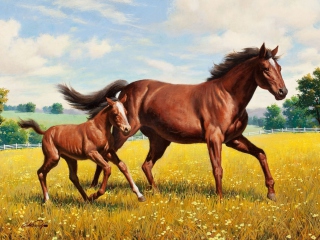 Horses screenshot #1 320x240