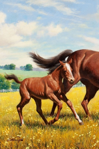 Обои Horses 320x480