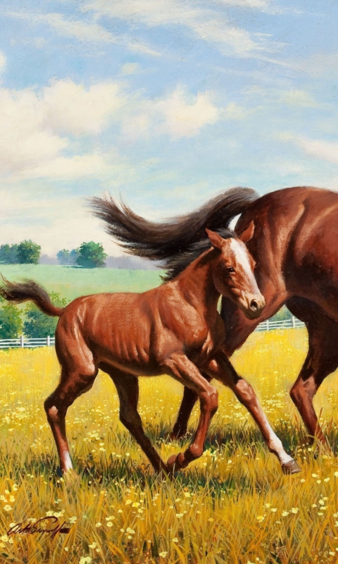 Fondo de pantalla Horses 480x800