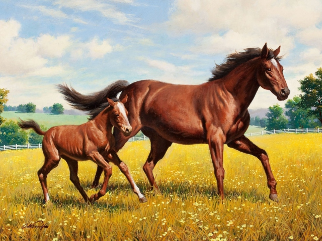Fondo de pantalla Horses 640x480