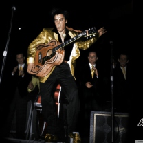 Das Elvis Presley 1956 Wallpaper 208x208