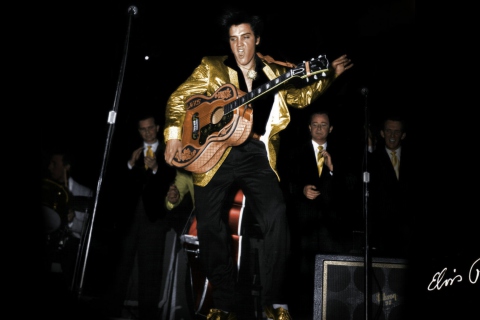 Fondo de pantalla Elvis Presley 1956 480x320