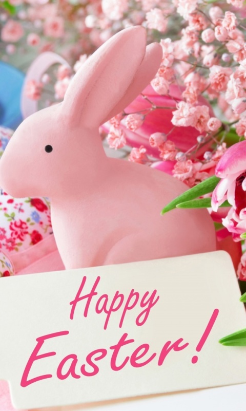 Pink Easter Decoration wallpaper 480x800