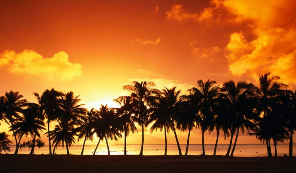 Das Tropical Sunset Wallpaper 1024x600