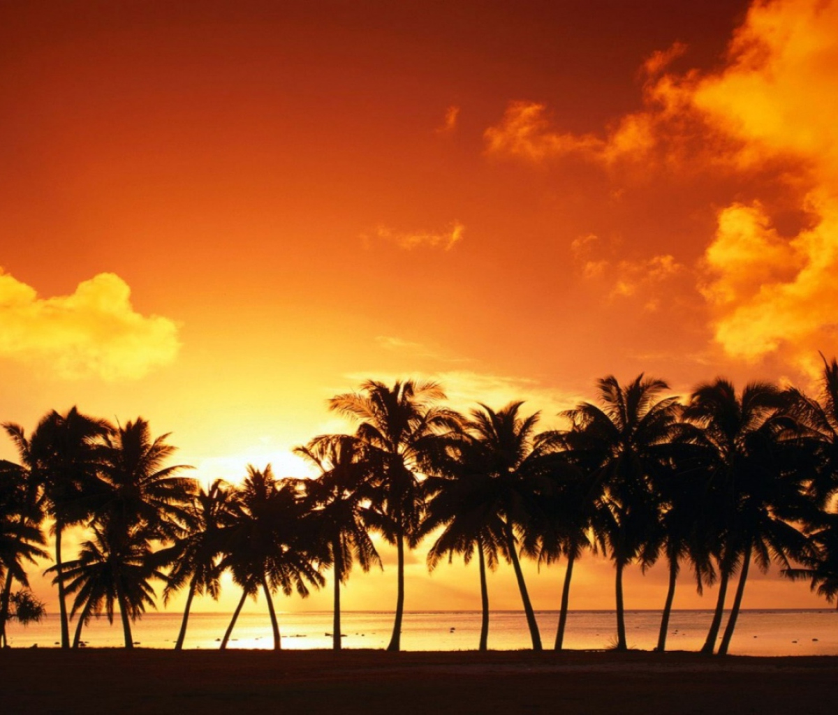 Das Tropical Sunset Wallpaper 1200x1024