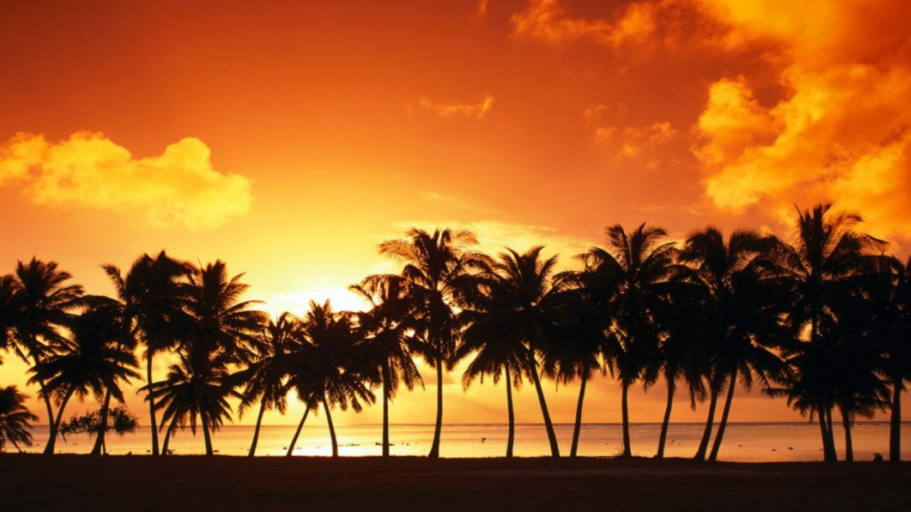 Tropical Sunset wallpaper 1280x720