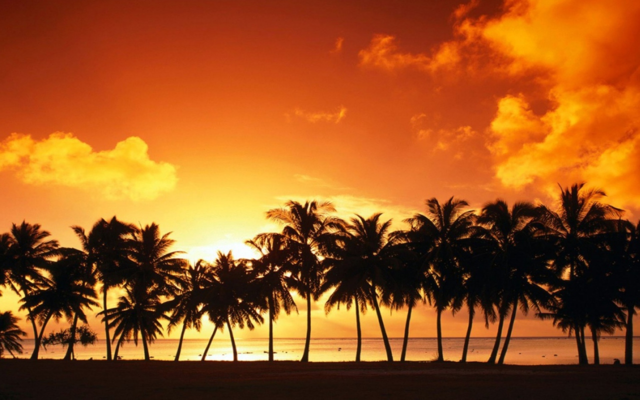 Tropical Sunset screenshot #1 1280x800
