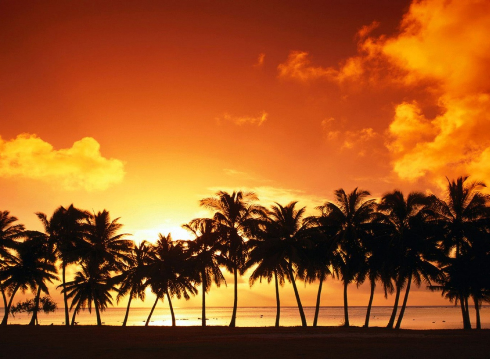 Tropical Sunset wallpaper 1920x1408