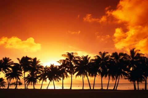 Fondo de pantalla Tropical Sunset 480x320