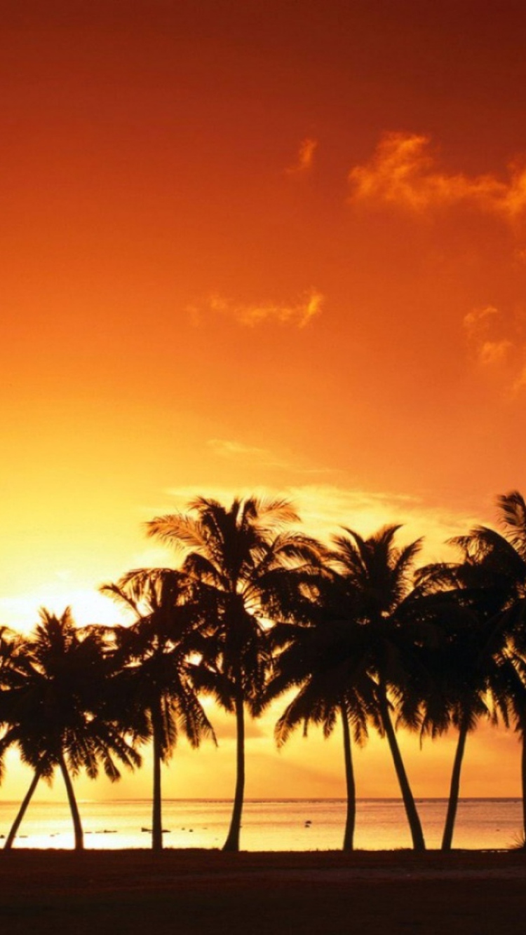 Tropical Sunset wallpaper 750x1334