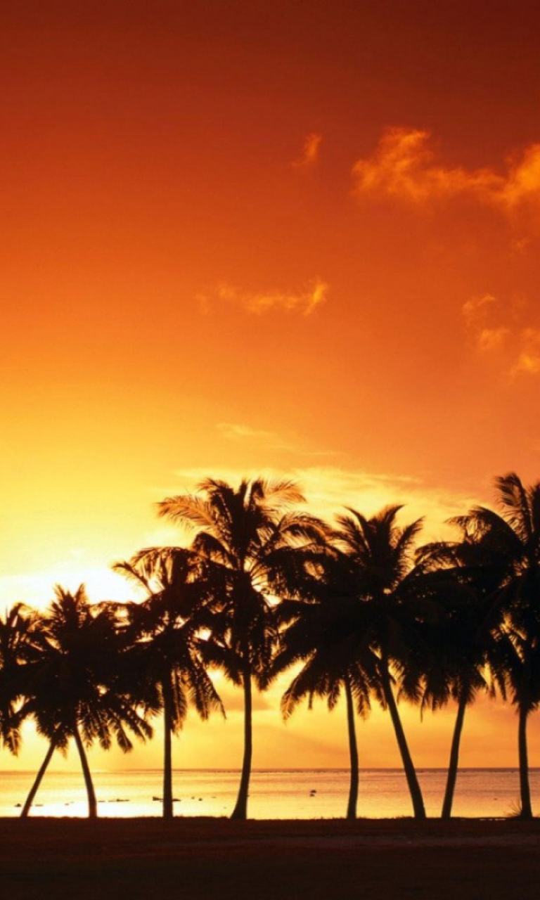 Das Tropical Sunset Wallpaper 768x1280