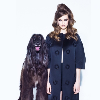Vogue Super Fashion Shot - Obrázkek zdarma pro Samsung Breeze B209