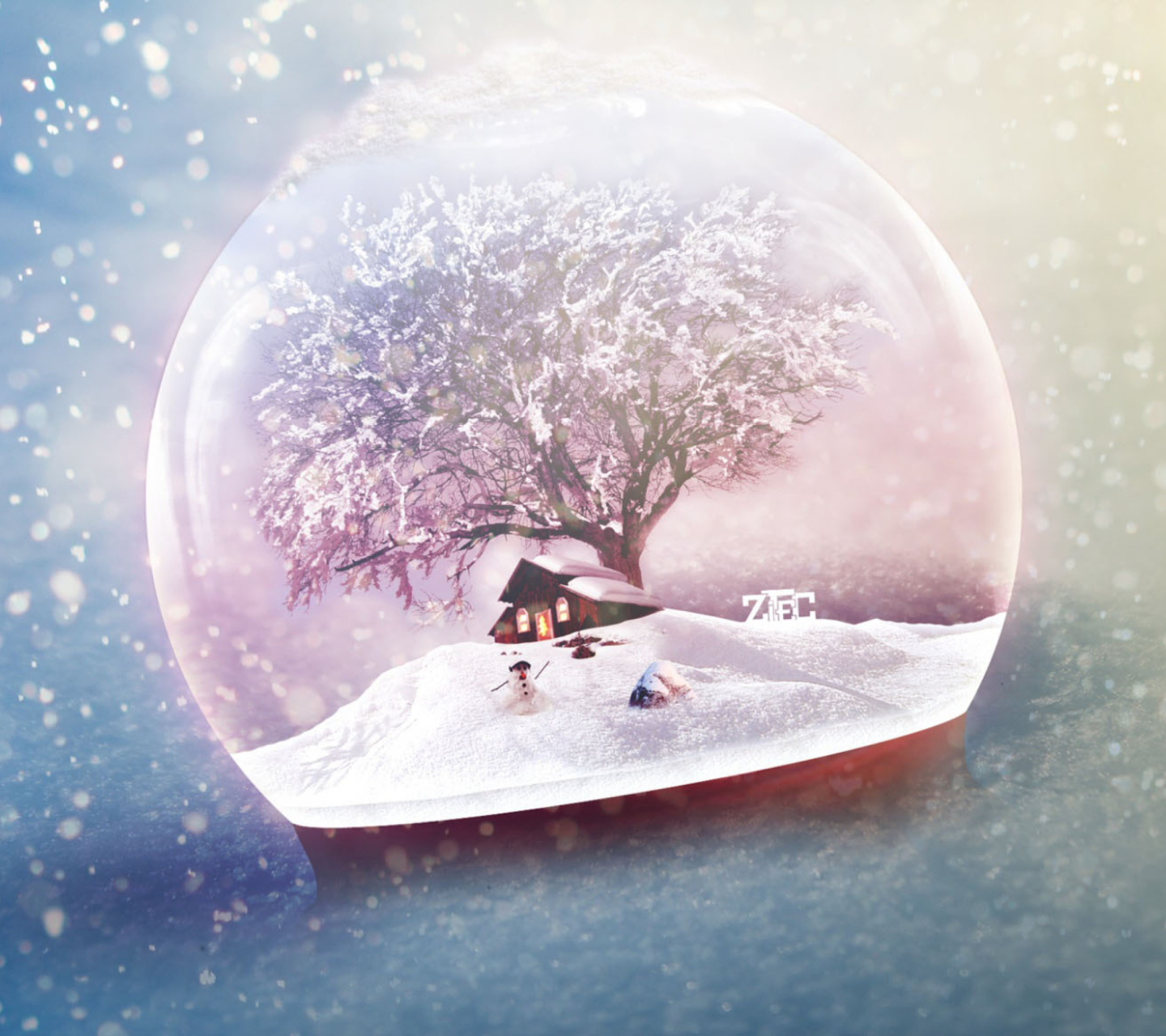 Sfondi Frosty Globe 1440x1280
