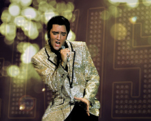 Das Elvis Presley Wallpaper 220x176