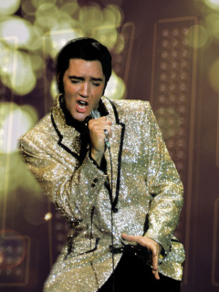 Screenshot №1 pro téma Elvis Presley 240x320