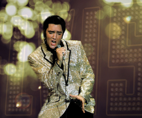 Sfondi Elvis Presley 480x400