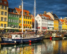 Copenhagen screenshot #1 220x176