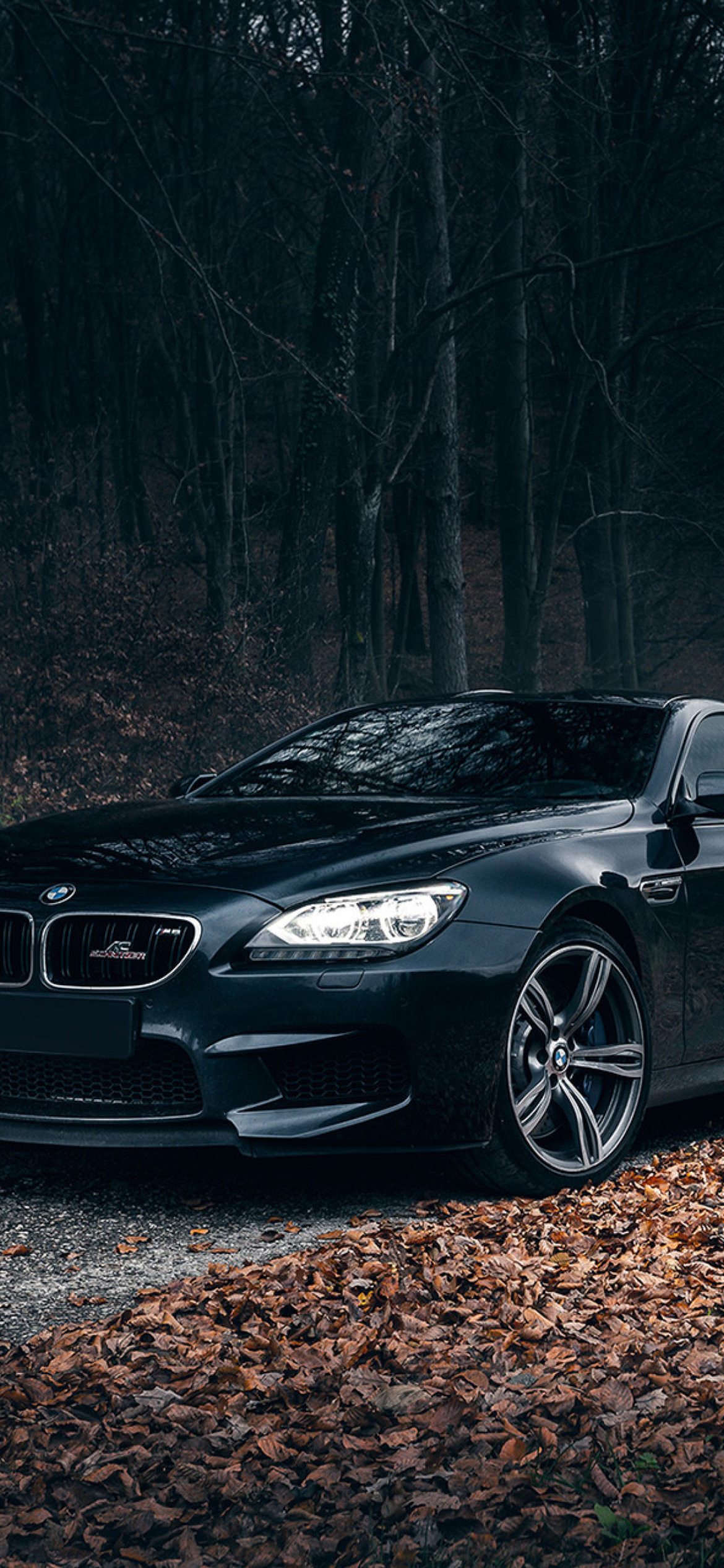 BMW M6 Coupe screenshot #1 1170x2532