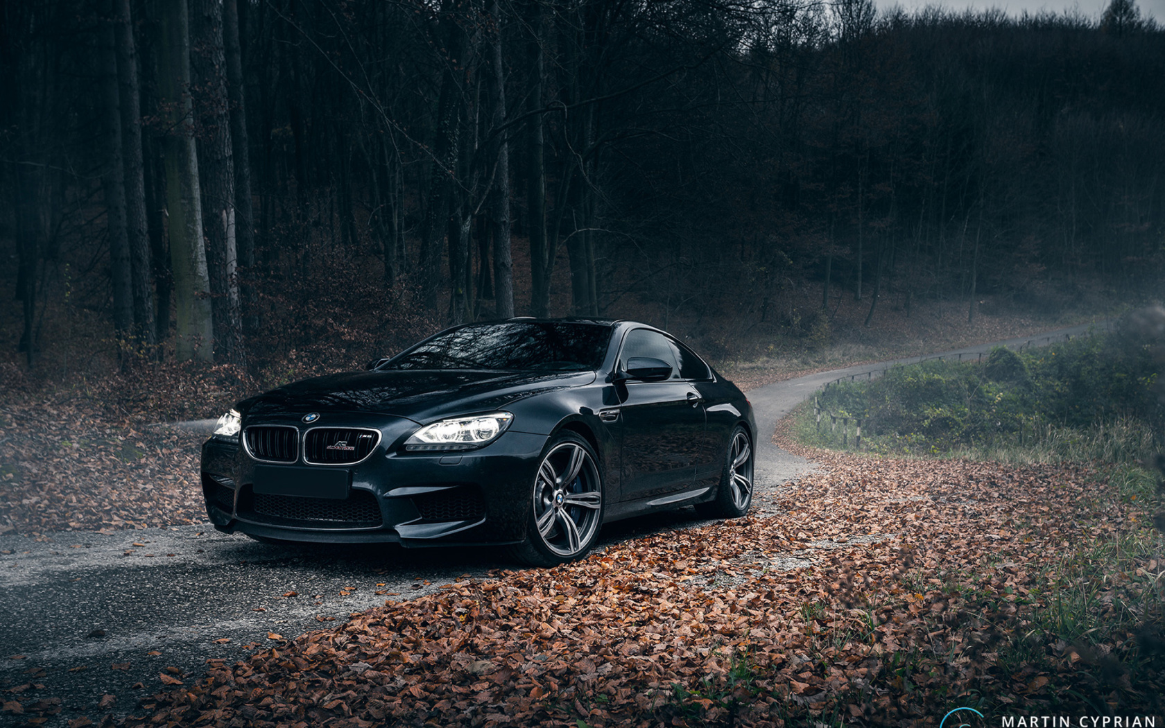 BMW M6 Coupe wallpaper 1680x1050