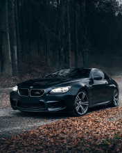 Screenshot №1 pro téma BMW M6 Coupe 176x220